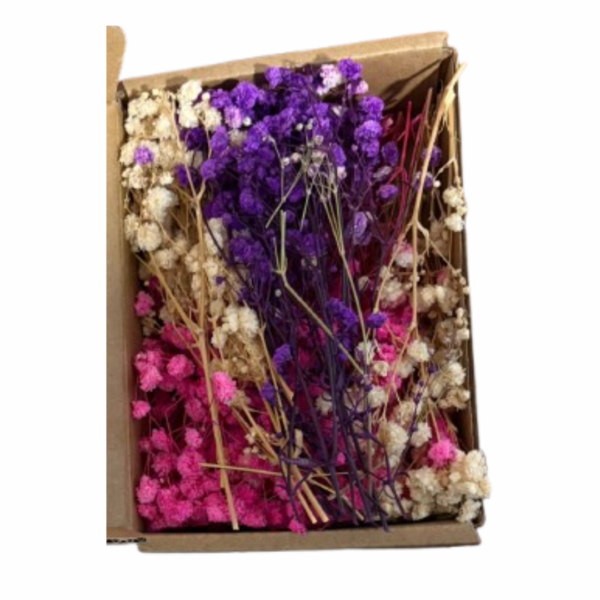 Caja de Flores Secas